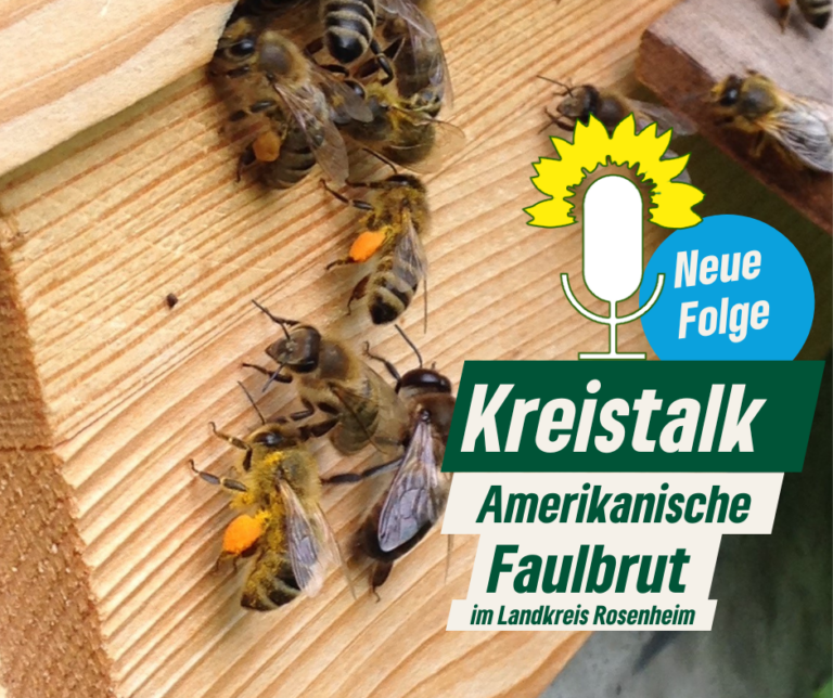 Kreistalk XII: Faulbrut in Rosenheim